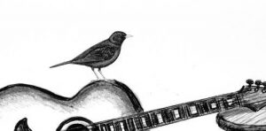 Blackbird - The Beatles - Guitar Tab